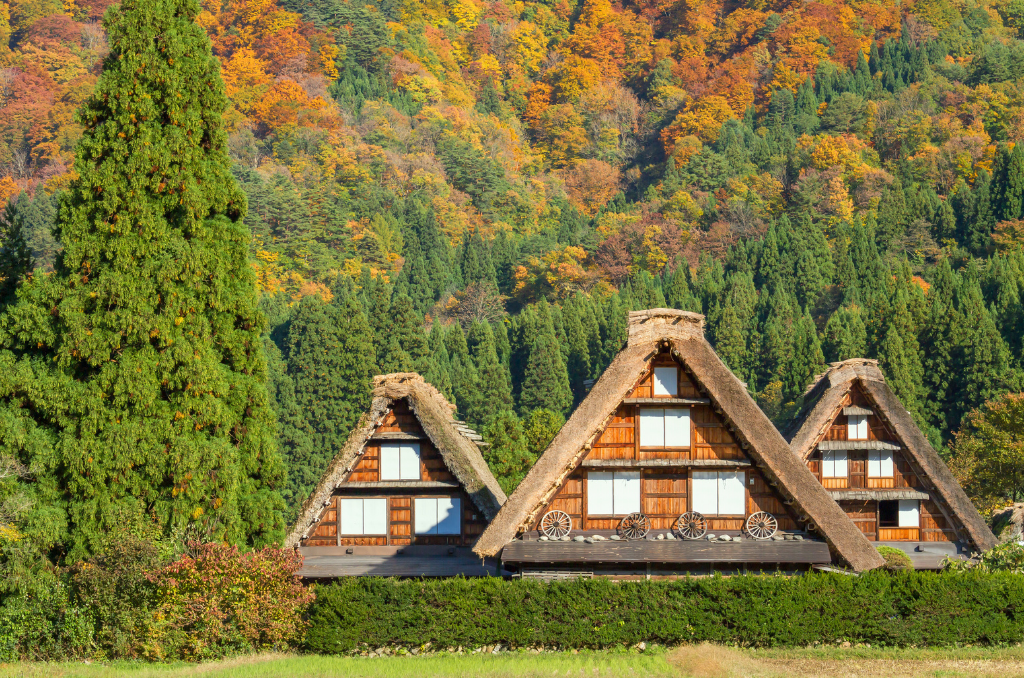 Three thatched roof houses in Shirakawago on a bright, sunny day, framed by mountains and trees on every side in brilliant shades of green, orange, and yellow for fall.