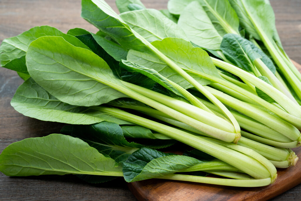 Several bunches of komatsuna, a squatter version of spinach.