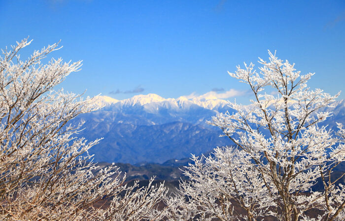The view from the summit of Mt. Horaiji in winter, with snow-covered peaks in the distance and ice-covered trees in the foreground.