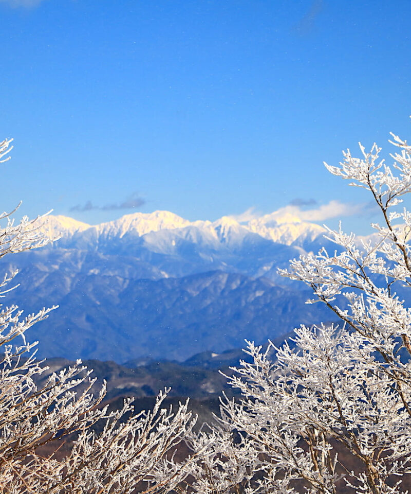 The view from the summit of Mt. Horaiji in winter, with snow-covered peaks in the distance and ice-covered trees in the foreground.