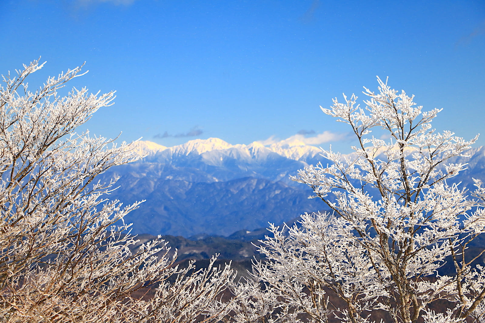 The view from the summit of Mt. Horaiji in winter, with snow-covered peaks in the distance and ice-covered trees in the foreground.