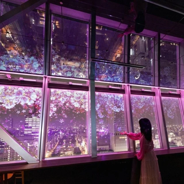 🌸 2026 SAKURA ILLUMINATIONS IN NAGOYA 🌸 Nagoya is not boring!… especially in spring.Did you know Chubu Electric MIRAI TOWER was Japan’s first TV broadcast tower? Even better, it’s far less crowded than Tokyo Tower, making it one of the most peaceful skyline spots in Japan.This spring, experience NAKED SAKURA TOWER 2026, where the 90m Sky Deck transforms into a dreamy world of falling cherry blossom projections, floral scents, and immersive light art.🌸 City lights, Sakura vibes and 360° night viewsVisit on your own or join our Sake Tasting Night Tour and enjoy a cup of sake right on the observation deck before the illuminations begin.Spring in Nagoya hits different!!◎ Chubu Electric Power Mirai Tower “Sky Deck” ◎ Duration: Sunday, March 1st, 2026-Thursday, April 30th, 2026 ◎ Opening Hours: March 1st (Sun) - March 8th (Sun) Weekdays and Sundays 18:00-21:00 (last entrance 20:40) Saturday 18:00-21:40 (last entrance 21:20)March 9th (Mon) - March 31st (Tue) Weekdays and Sundays 18:30-21:00 (last entrance 20:40) Saturday 18:30-21:40 (last entrance 21:20)April 1st (Wed) - April 30th (Thu) Weekdays and Sundays 19:00-21:00 (last entrance 20:40) Saturday 7:00 PM - 9:40 PM (last entrance 9:20 PM)◎ Access: Five-minute walk from Hisayaodori Station, six minutes from Sakae Station ◎ Address: 3 Chome-6-15先 Nishiki, Naka Ward, Nagoya, Aichi 460-0003 ◎ Google Maps: Chubu Electric Mirai Tower ◎ Website: Naked Sakura Tower 2026— Want to know more about amazing events during spring in and around Nagoya? Go to our website ... nagoyaisnotboring.com 🌟 LINK IN BIO — \#japanspring \#cherryblossom \#sakuraseason \#cherryblossoms2026 \#sakurajapan \#springinjapan\#nakedinc \#NakedInk \#ChubuElectricPowerMiraiTower \#japan \#japantravel \#visitjapan \#explorejapan \#traveljapan \#nagoya \#nagoyajapan \#visitnagoya \#aichi \#aichinow \#nagoyaisnotboring \#nagoyatravel \#nagoyatours \#nagoyaexperience \#nagoyasightseeing \#localguide \#nagoyalocalguide \#japantrip \#travelinspiration \#discoverjapan